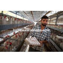 Cage de poulet de couche de volaille avec le système automatique d&#39;alimentation / buveur